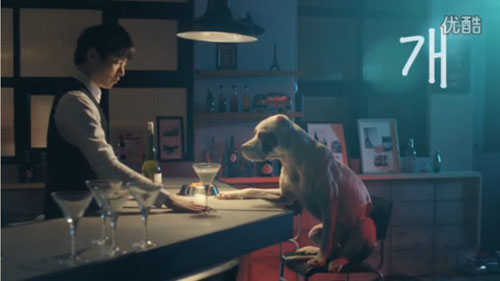 韩国舒洁拍摄狗狗创意偶像广告！