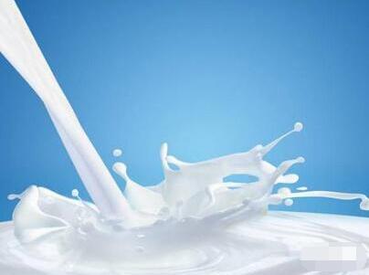 牛奶公司市场推广营销方案案例_策划方案 网络营销