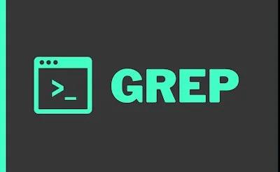 加鸡腿时间：掌握 Linux 中的12个 grep 命令