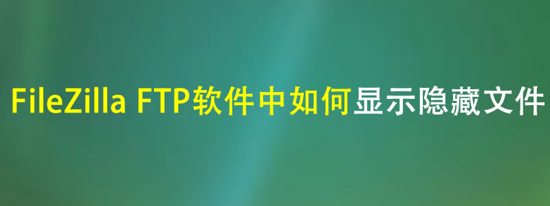 FileZilla FTP软件中显示带点的隐藏文件方法