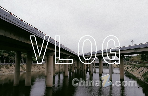 B站最能涨粉的vlogger中，竟有一只狐狸？