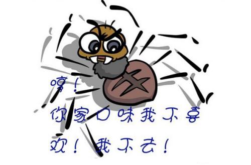 武汉SEO:什么是蜘蛛池/SEO蜘蛛池如何养？蜘蛛池的原理和作用解答