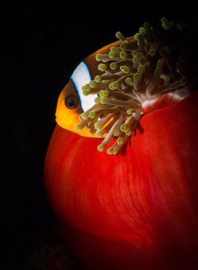 Google算法更新大全 经验心得 第2张