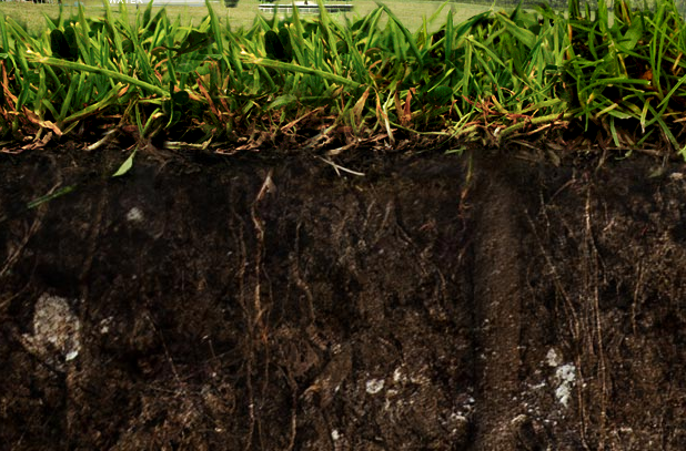 奇迹诞生的地方:世界上最深的网站