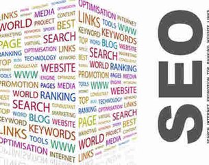 1527490436483796.jpg 【天津seo诊断】新网站优化注意哪些