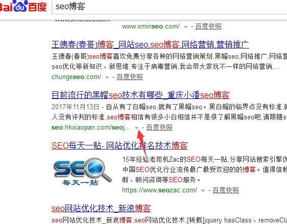 各大搜索引擎站群霸屏器