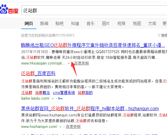 各大搜索引擎站群霸屏器
