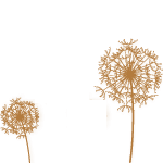wordpress美化-本站底部添加蒲公英飘动特效