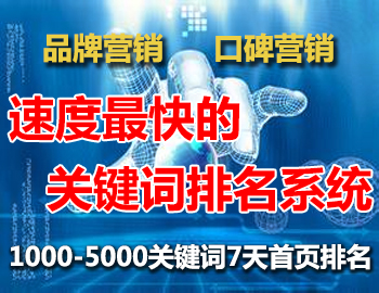 SEO网站优化快速排名究竟是怎么做的?
