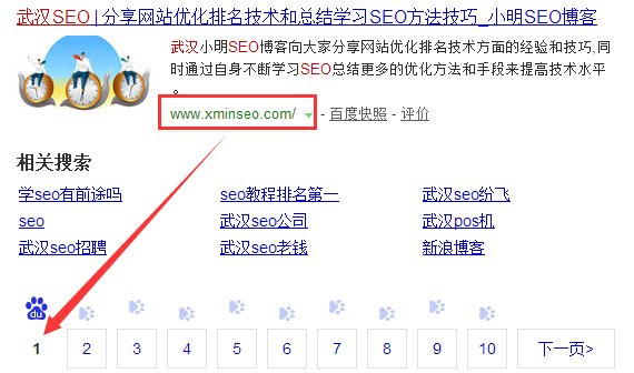 档案解密:两个月将“武汉SEO”送上首页
