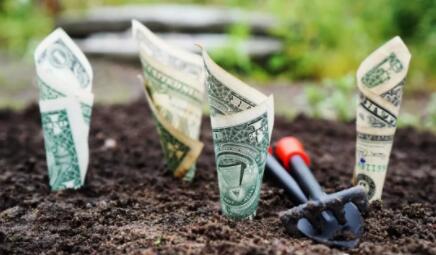 武汉网站优化：说说一种SEO赚钱的小思维