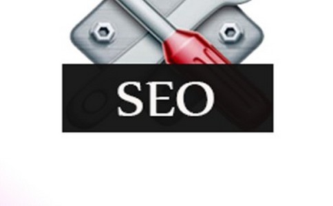 seo推广方案案例：网站SEO优化推广方案