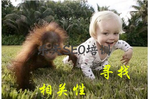 搜索引擎判断网站相关性的几点维度