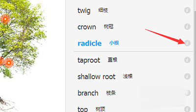 有道词典进行图解的具体操作流程 互联百科 第6张 有道词典进行图解的具体操作流程 互联百科 第6张