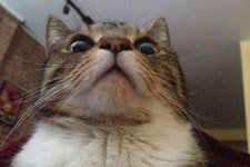 永济网:运营一个新网站项目四步曲