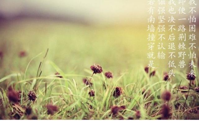 有志不在年高,无志空活百岁 互联百科 第1张 有志不在年高,无志空活百岁 互联百科 第1张