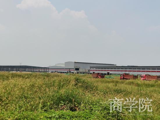 董明珠投的银隆 欠薪成了无底洞？