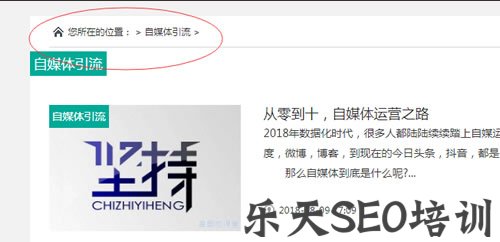 SEO实操分享：细节决定网站排名，文章排名百度首页 网站运营 站长 SEO优化 经验心得 第6张