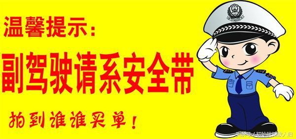 2019年新规开车不系安全带扣几分？（为安全着想一定要记）