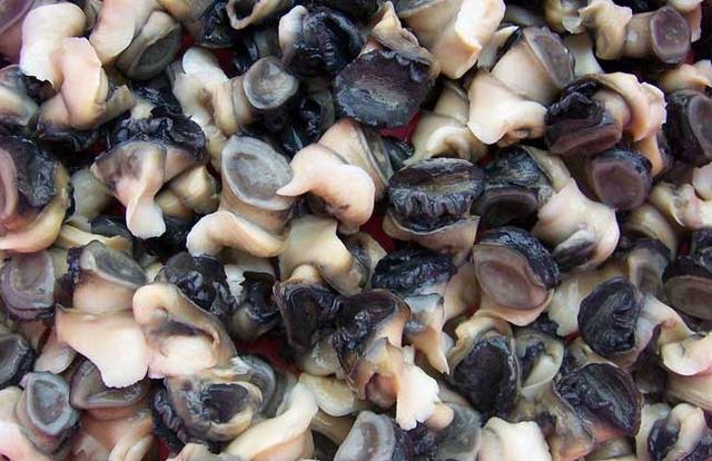 螺蛳吃什么部位，如何煮螺蛳才好吃！