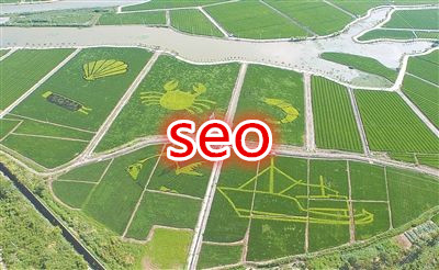 【九江seo】关键词到底是怎么参与排名的