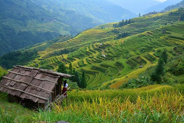 注意了，分清营销思维之农耕和打猎，成功几率差90%