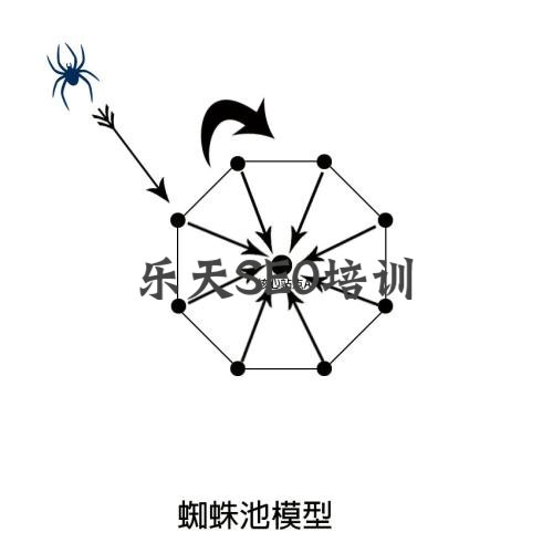 黑帽SEO技术：蜘蛛池的应用