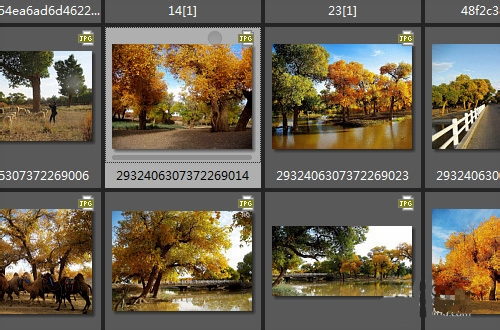 ACDSee关闭鼠标经过时弹出的预览图教程 互联百科 第5张 ACDSee关闭鼠标经过时弹出的预览图教程 互联百科 第5张