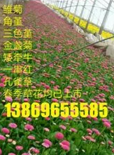 你的网站被影响了吗?因百度这两个规则调整