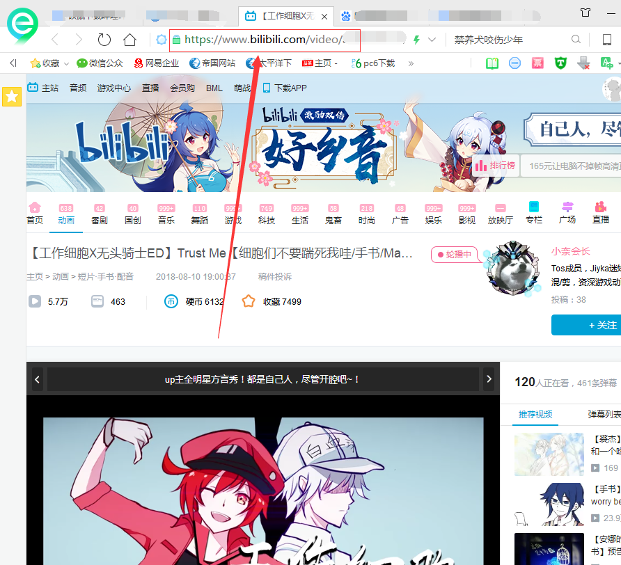 哔哩哔哩怎么下载视频? 互联百科 第2张 哔哩哔哩怎么下载视频? 互联百科 第2张