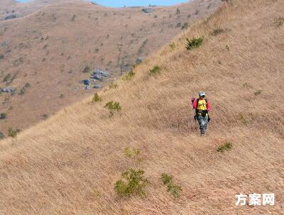 户外活动策划经典案例