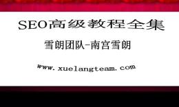 叶胜超SEO培训基础到实战视频教程（基础-中级-高级）