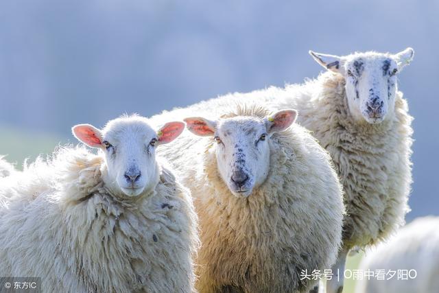 三个土念什么？三个字叠在一起念什么大全（建议收藏）