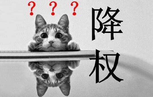 网站被降权恢复