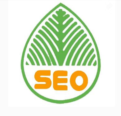 《成都seo》网站被人接黑了怎么办?