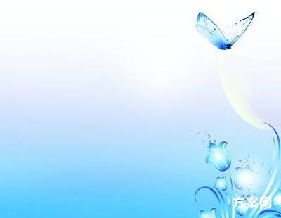 食品安全策划书 网络营销 食品安全策划书 网络营销