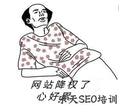 清丰网：关于网站降权的那点事