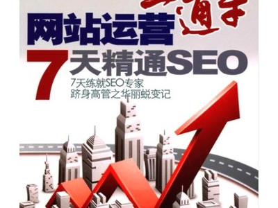 网站运营直通车:7天精通SEO