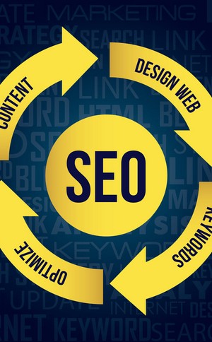 「安阳网站优化」关于百度熊掌季风算法