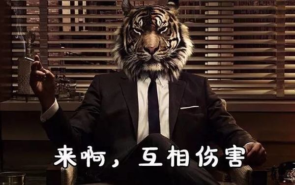 《聊城seo》怼复制粘贴的食腐动物