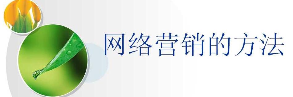 网络营销方法