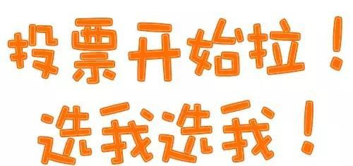 新乐SEO培训：锚文本投票最有效的三个注意事项