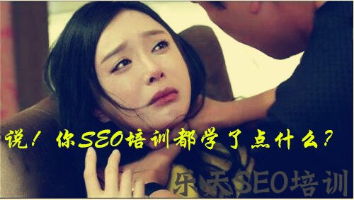 SEO培训都学什么内容？(SEO到底应该学什么)