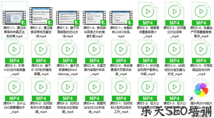 搜外网2019版大型网站SEO优化执行方案视频教程 搜外网2019版大型网站SEO优化执行方案视频教程