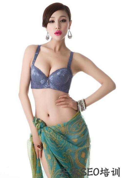 薛兆丰：网站降权的定义概念及解决方法