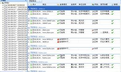 域名扫描软件教程