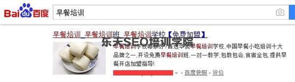 SEO实战干货：新站秒排技术7天上首页独家揭秘！ 经验心得 第2张