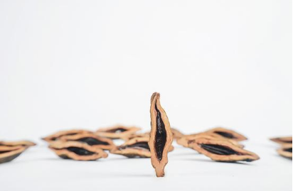 关于槟榔的危害 如何全面认识 互联百科 第2张 关于槟榔的危害 如何全面认识 互联百科 第2张