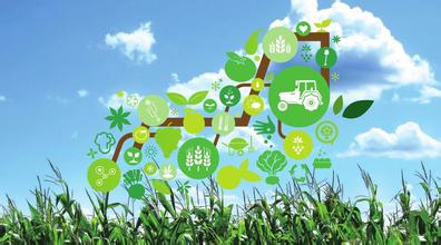  互联网+农业创业项目适合大学生 网络营销