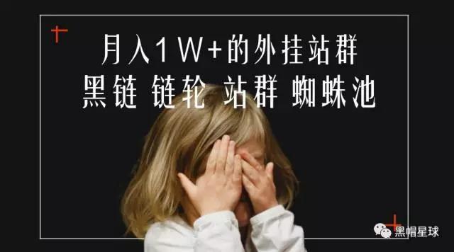 宁波SEO培训：黑帽SEO案例分析：外挂站群与蜘蛛